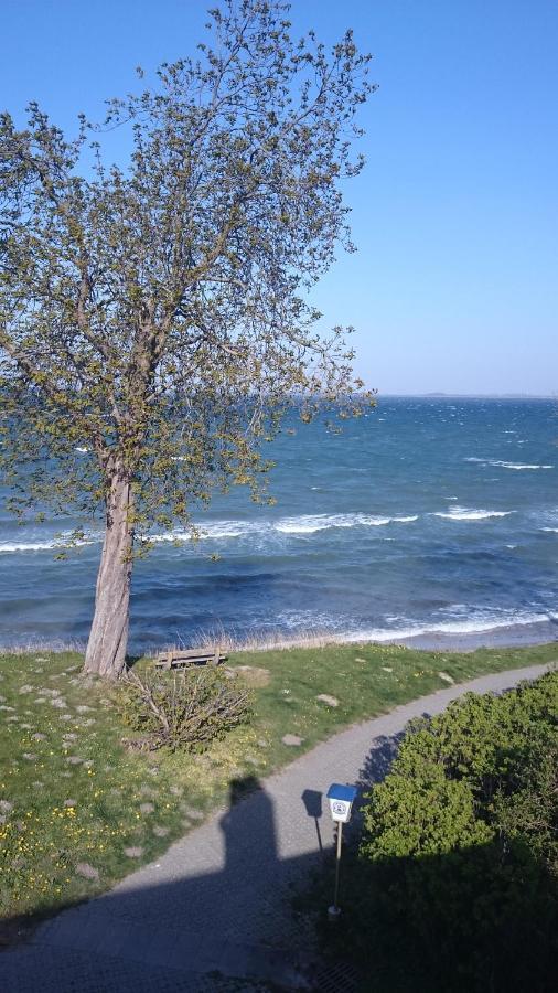 Strandappartement Steinberghaff "Zur Birk" Mit Meerblick Steinberg  Eksteriør billede
