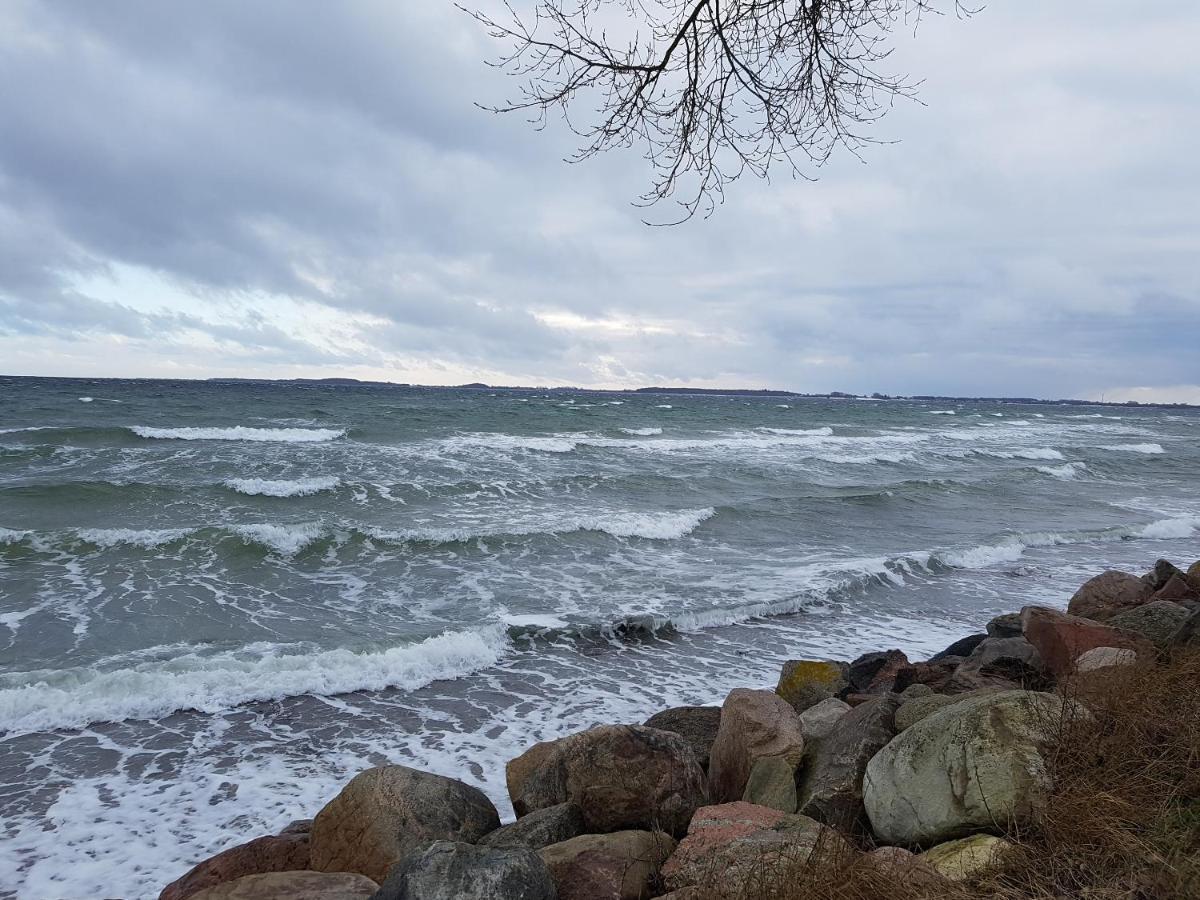 Strandappartement Steinberghaff "Zur Birk" Mit Meerblick Steinberg  Eksteriør billede