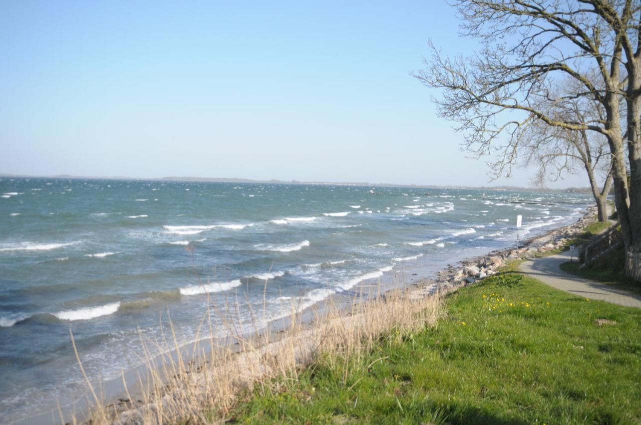 Strandappartement Steinberghaff "Zur Birk" Mit Meerblick Steinberg  Eksteriør billede